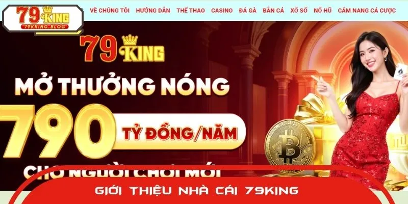 Đôi nét về nhà cái 79KING