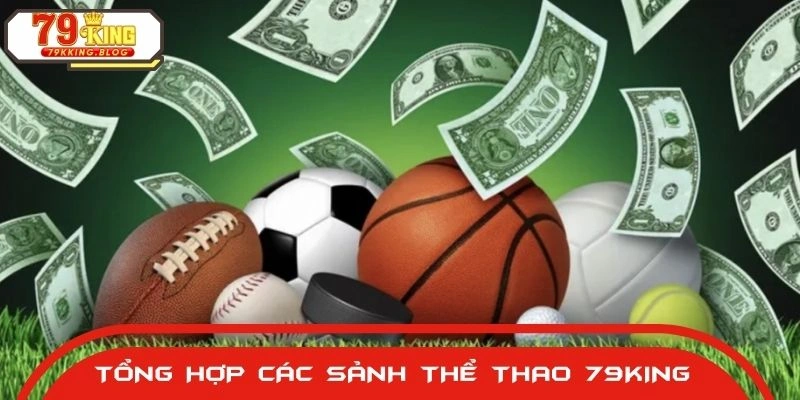 Các sảnh chơi thể thao 79King đáng trải nghiệm
